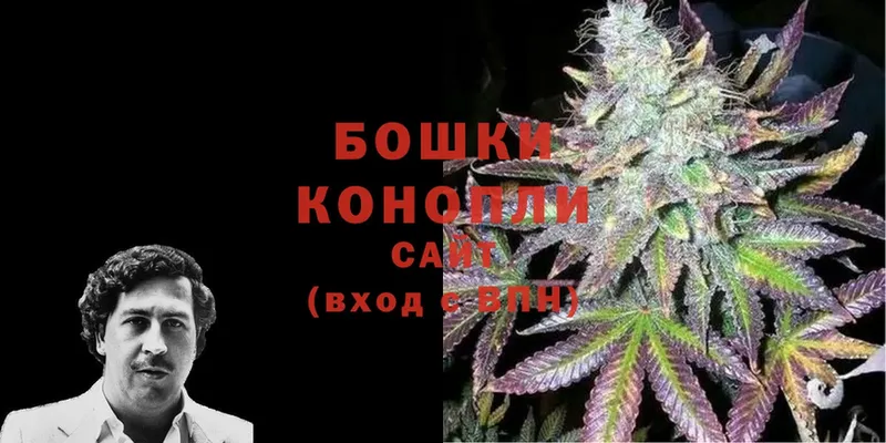 Канабис Bruce Banner  Исилькуль 